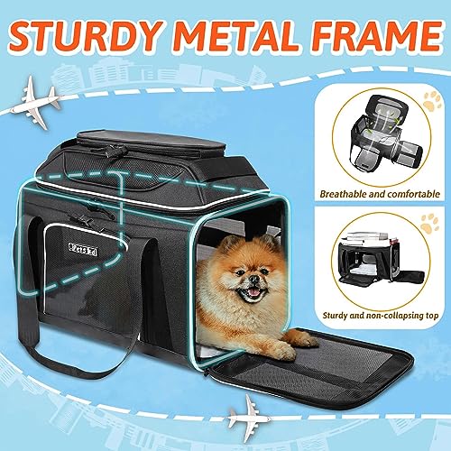 Top-Expandable Small Pet Carrier 17"x11"x9.5" Airline Approved | for Alaska Airlines, Lockable Safety Zippers and Anti-Scratch Mesh, Soft-Sided, Pets Under 10 Lbs, Black - color: Black, size: 17.0"L x 11.0"W x 9.5"H