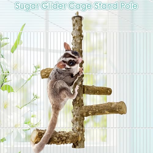BNOSDM Sugar Glider Toy Natural Prickly Ash Wood Perch Stand Squirrel Hanging Wooden Climbing Pole Hamster Paw Grinding Perch Small Animal Cage Accessories for Chinchillas Rats Gerbil - color: Prickly Ash Wood - Climbing Perch