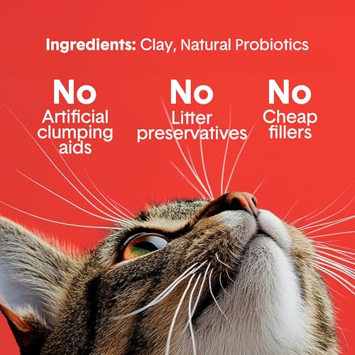 Boxie Extra Strength Clumping Cat Litter Multi Cat 35 Day Odor Control 28lb - size: 28 lb