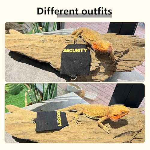 Bearded Dragon Carrier Backpack with Security Printing Harness Set, Reptile Lizard Travel Carrier (Grey, Security Harness) - color: Grey