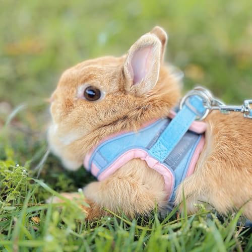 Rabbit Harness and Leash Set Escape Proof, Adjustable Soft Padded Vest, Breathable Mesh Bunny Harness with Reflective Strap, Safe for Small Animals(Pink,S) - color: Pink, size: S