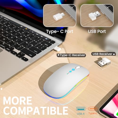 Halpilt LED Wireless Mouse A100S Rechargeable Portable Silent Mouse with Optional USB and Type-C Receiver 3-Speed Adjustable DPI for PC/Mac/Laptop (Frosted Silver) - color: Frosted silver