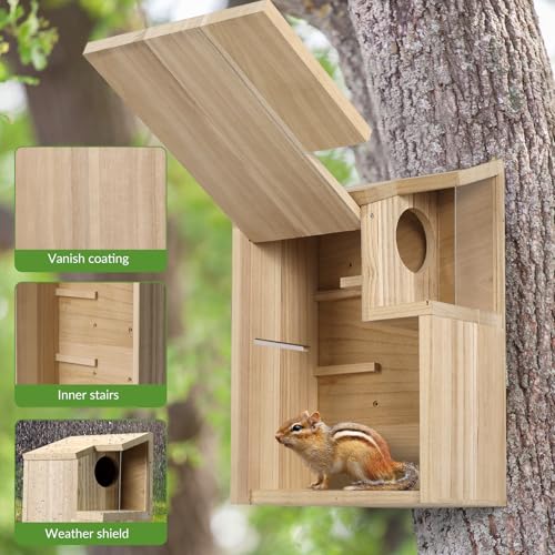 Sundia Large Squirrel Family House Pine with Coating Nesting Wooden Box for Breeding Living