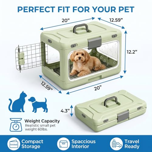 Foldable Hard Cat Carrier, Transparent Pet Crate for Cats & Small Dogs, Collapsible Travel Kennel with Ventilation & Urine Pad Mesh Grid, Portable Travel cage, Essential for pet Travel, White - color: White