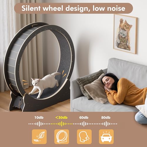 Mondeer 46'' Cat Wheel with Carpet Track and Teaser, Black | Cat Exercise Wheel, 46'' XL Treadmill with Carpeted Runway, Removable Carpet and Teaser, for Indoor Cats Running and Walking. - color: Black, size: 43.3