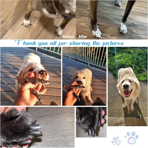 Best Dog Nail Calipper for Large Dogs with Thick Nail | Low Noise for Sensitive Dog, Super Sharp Smoothest Heavy Duty for Thick Nail, Compact Gentle Look for Anxiety Dogs