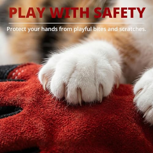 vclpower Animal Handling Gloves Size L Fit for Men & Large Hands Bite Proof Double Leather Reinforced Padding Dog,Cat Scratch,Bird Handling Falconry Gloves Grabbing Reptile Squirrel Snake Bite 16in | Size L Fit for Men & Large Hands - size: L
