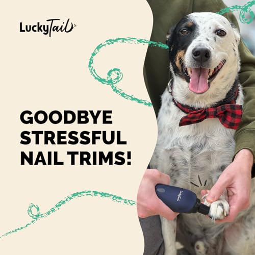 Pet Nail Grinder for Dogs and Cats - Super Quiet and Low Vibration Electric Dog Nail Grinder with 2 LED Lights - USB Rechargeable and Cordless - 2 Speeds - Small to Large Pets - Dark Blue - color: Dark Blue