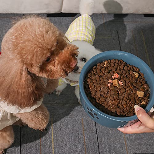 Sweejar Ceramic Dog Bowls with Paw Pattern, Dog Food Dish for Small Dogs, Porcelain Pet Bowl for Water 16 Fl Oz (Fog Blue) - color: Fog Blue, style: Paw Pattern,5.5"x2.2"(16 Fl Oz)