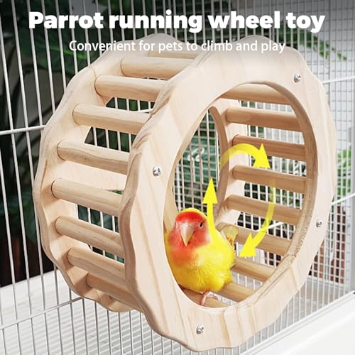Bird Stand Perch Toy,Interactive Rocking Parakeet Toy and Perch, Wooden Exercise Wheel Cockatiel Toy, Intelligence Puzzle Enrichment Toys,Bird Playground Play Stands for Conure Budgie(D) - color: E