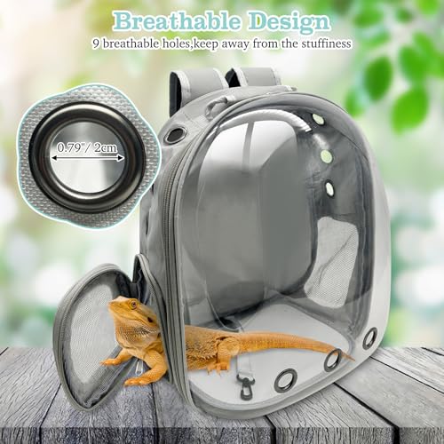 PINVNBY Bearded Dragon Carrier Backpack with Harness and Leash Set Large Reptile Travel Carrier Portable Lizard Backpack Clear Bubble Window Small Animal Carrying Bag for Gecko Kitten Rabbit (Gray) - color: Gray