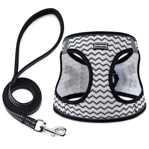 Dog Harness with Leash Set, Step-in Adjustable Puppy Vest, White Stripe XXS | Lightweight Breathable Air Mesh, Night Safety Reflective, No Pull Puppy Vest Harnesses for Small Medium Large Dogs, Cats - color: White Stripe, size: XXS(Chest:10"-12")