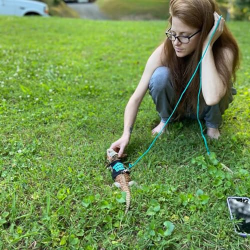 Bearded Dragon Lizards Clothes with Leash Set for Small Pets Reptiles Guinea Pig Apparel Lizards Outdoor Walking Training Harness Leash Hand-Made Costume Photo Prop (Blue) - color: Blue