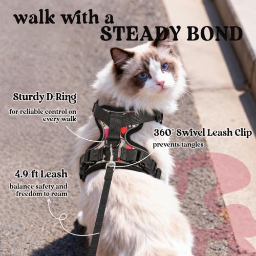 rabbitgoo Cat Harness and Leash Set, Escape Proof Vest, Berry Pounce | Soft Breathable Mesh, Easy Adjustable Fit, Snap Buckles, Sturdy Clip, Reflective Strips, for Kittens & Small Cats Walks, Xxs - color: Berry Pounce, size: Xxs