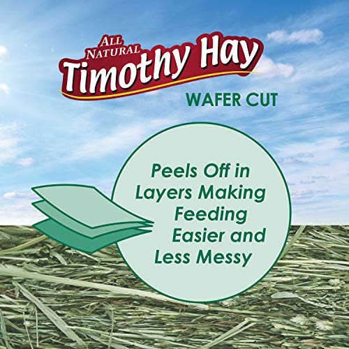 Kaytee Wafer Cut All Natural Timothy Hay for Pet Guinea Pigs, Rabbits & Other Small Animals, 60 Ounce - size: 3.75 Pound (Pack of 1)