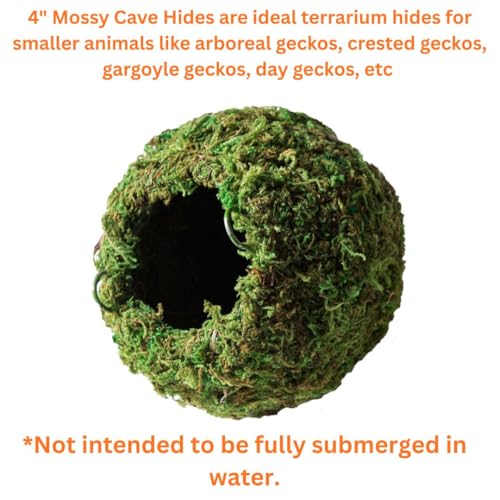 Galápagos (05346) Mossy Cave Hide, 4", Green - size: 4"