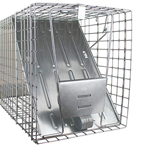 Havahart Large 1-Door Live Animal Trap for Raccoons, Cats, Bobcats, Beavers | Heavy Duty Humane Catch and Release Cage Trap for Outdoor Pest Control, 1079SR