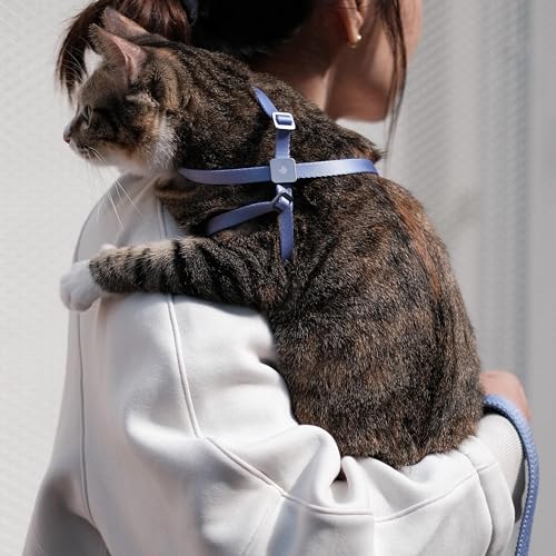 Cat Harness and Leash 2-in-1, Escape Proof Anti-Choking Harness Adjustable Lightweight Leash One-Piece Non-Detachable for Kitten Cats Outoor Walking Training, US IDA Bronze Award (Black) - color: Midnight Black