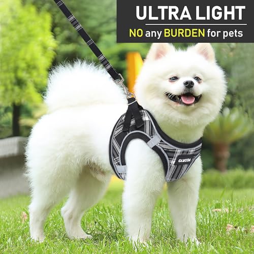 GAMUDA Small Dog Harness Collar and Leash Set, Step in No Chock No Pull Soft Mesh Adjustable Dog Vest Harnesses Plaid Reflective for Dogs Puppy Cats Kitten Rabbit (Black, M) - color: Black, size: M