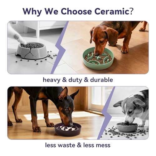 Ceramic Slow Feeder Dog Bowl, 1.8 Cups Anti -Slip Slow Feeding Bowl to Slow Down Eating, 8.2 Inch Dog Food Dish for Medium to Large Breeds, Purple - color: Purple, size: Medium
