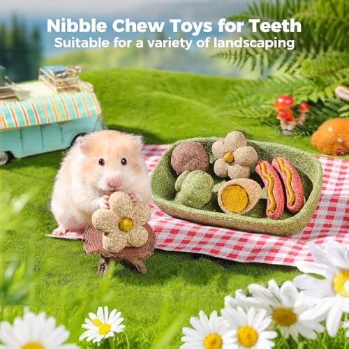 mini&moe Hamster Chew Toys for Teeth - Guinea Pig Chews and Treats Natural Hamster Enrichment Toys Improve Dental Health for Rat, Bunny, Chinchilla, Gerbils and Small Animal