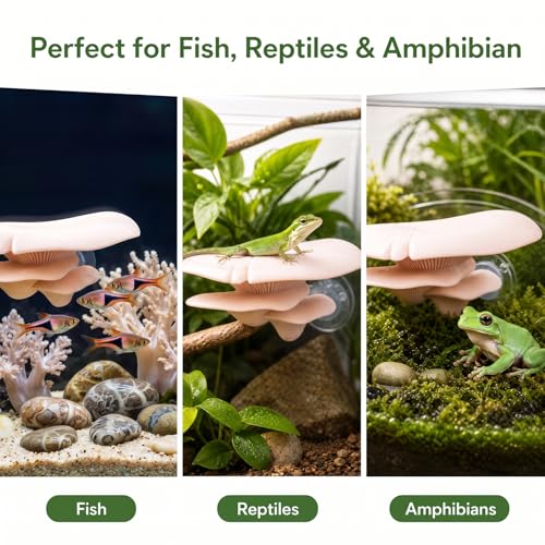 Mushroom Decor Climbing Hold Reptile Tank Pet-Safe Bearded Dragon | Tank Accessories, Climbing Rest Platform Habitat, Concealed Jumping Spider Habitat, Gecko Lizards Leopard, Turtle Hermit Crab