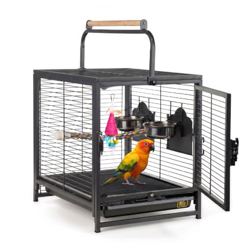 Prevue Pet Products Playtop Travel Carrier - Outdoor Travel Bird Cage for Small Parrots & Birds, Front Facing Door, Rope Perch, Lightweight & Portable, Easy Transport - Black