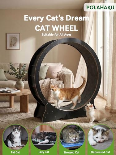 Cat Wheel for Indoor Cats, 48 Inch Diameter Exercise Running Wheel | Enhanced Base, Safety Lock, Quiet, For Cat's Longer Life Fitness, Wide Surface, Low-Entry Design, Easy Assembly, Natural Wood - color: Black