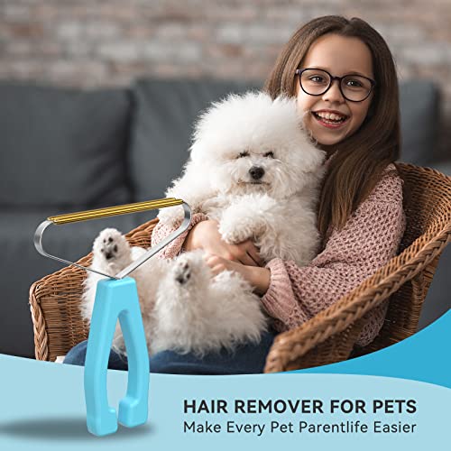 Pet Hair Remover, Dog and Cat Hair Remover, Carpet Rake, Carpet Scraper | Pet Hair Removal Tool, Carpet Rake for Pet Hair Removal, Pile Brush, Carpet, Car Cushions, Sofa, Pet Bed, Furniture, Rug - color: Blue