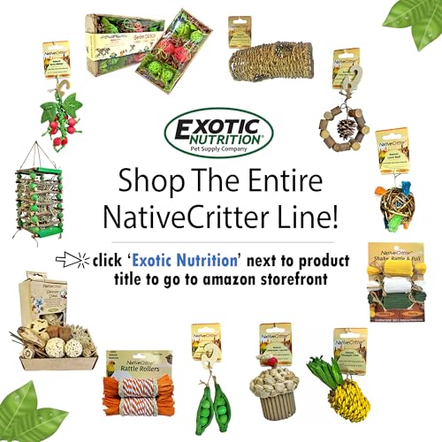 Willow Value Pack - Natural Safe Woven Wood Chew Toys - Hamsters, Guinea Pigs, Rabbits, Hedgehogs, Chinchillas, Rats, Ferrets, Sugar Gliders, Squirrels, Prairie Dogs, Marmosets, Degus, & Small Pets
