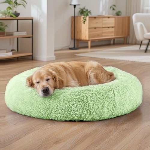 Dog Beds Large Sized Dog and Cats, 32in Pet Beds for Large Pet, Washable Indestructible Extra Large Dog Bed (Green) - color: Green, size: 32.0"L x 32.0"W x 8.0"Th