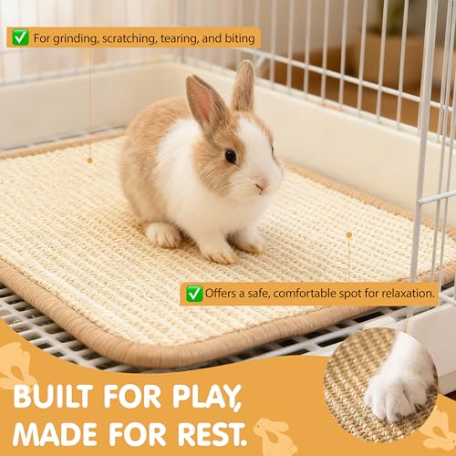 Rabbit Scratching Pad, 2PCS Natural Sisal Bunny Mat,16x12in | Bunny Toys, Rabbit Toys, Rabbit Chewing Mat, Rabbit Bedding, Sisal Mats for Bunnies, Bunny Nail Scratch Pads