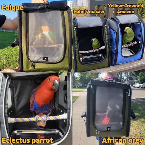 Birds Day Bird Carrier Backpack - Breathable Mesh Portable Parrot Travel Cage with 2PCS Perch, Food Bowl, and Stainless Steel Tray (Charcoal Gray) - color: Charcoal Gray