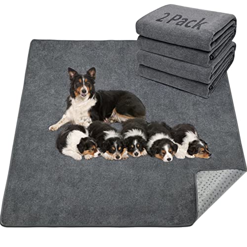 LOOBANI Washable Pee Pads for Dogs, 2 Pack Non-Slip and Leak-Proof,48"x65" | Super Absorbent Reusable Dog Pee Pads, Machine Washable, Extra Large for Whelping, Crate, Playpen, Floor, Housebreaking - size: 65"*48"(Pack of 2) Gray