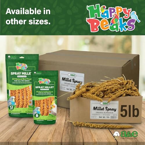 A&E Cage Co Premium French Millet Spray Bird Treat, 1 lb Bag | Grown in France, No Artificial Preservatives, Source of Fiber & Minerals, Encourages Natural Foraging - size: 1lbs