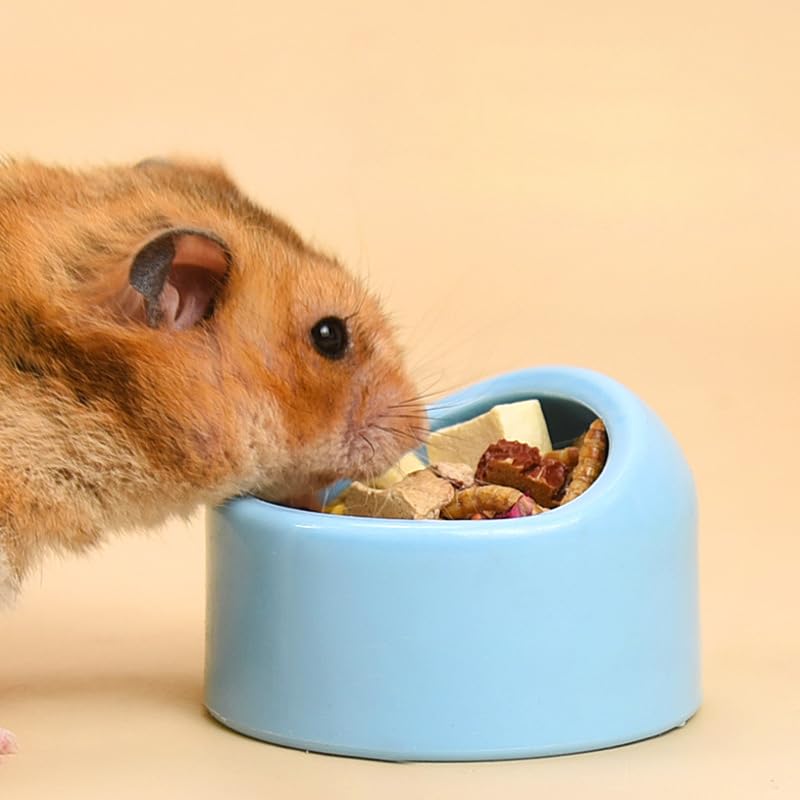 4 Pack Hamster Bowl Dwarf Feeding Bowls Food Water Feeder Dish for Robo Syrian Hamsters Hammies Mice Gerbils Degus Hedgehog Small Animals Pet