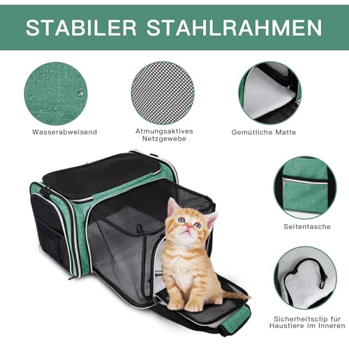 BAGLHER Expandable Cat Carrier with Travel Litter Box, Pet Travel 5 Sides Open Doors 3 Sides, Leak-Proof and Collapsible, for Car, Airplane Trip, Green - color: Green, size: 12.6"L x 6.9"W x 16.5"H
