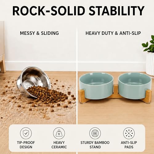 SPUNKYJUNKY Ceramic Dog and Cat Bowl Set with Wooden Stand, Modern Cute Weighted Food Water Set for Small Size Dogs (13.5OZ) & Medium Sized Dogs (28.7OZ) & Cats (3.6 Cups, 2 × Morandi Green) - color: Morandi Green × 2, size: 3.6 cups
