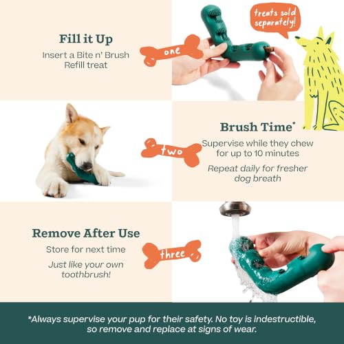 WOOF Bite n' Brush Dog Dental Chew Toy for Small Dogs 10-25 lbs | Dog toothbrush toy, V-shaped design, reusable, easy to clean, dental dog toy - size: Small