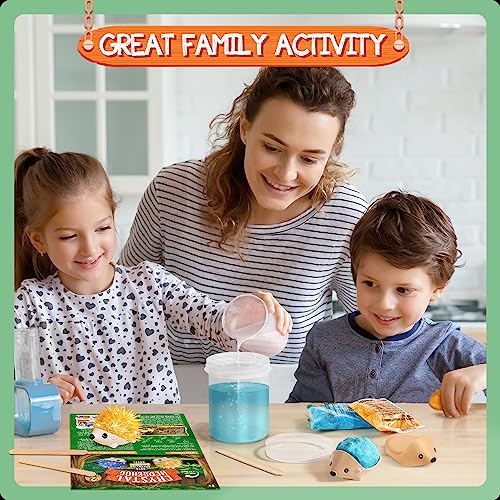 Crystal Growing Kit - 2 Vibrant Hedgehogs Fast 24H, STEM Gift for Kids 6-12 | Grow 2 crystal hedgehogs in 24H. STEM science kit, educational DIY toy. Great birthday gift for boys & girls ages 7-10+ - color: 2 Hedgehog Crystal
