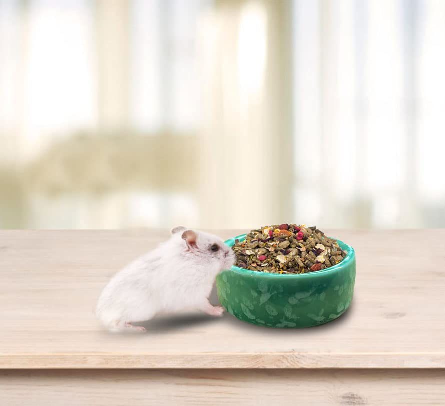 kathson 2 Pcs Hamster Food Bowl Guinea Pig Ceramic Water Bowl Small Animal Feeding Dish for Dwarf Hamster Gerbil Syrian Ferret Hedgehog Chinchilla Bunny (Green)… - color: Green, size: 2Pcs:S