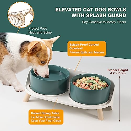 Elevated Ceramic Dog Bowl Set - Double Dog Feeding Bowls with Stand Splash Proof - Raised Dishes for Food and Water - Ideal for Small to Medium Dogs - 2 x 720 ml - 11.3 oz - Green - color: Green, size: Medium