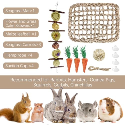 Hamiledyi Rabbit Seagrass Activity Mat Bunny Toy Hanging Rabbit Chew Toys for Teeth Bunny Enrichment Toys Seagrass Protector Mat Small Animal Toys for Chinchilla Guinea Pigs Hamsters Rats Rodent - style: B