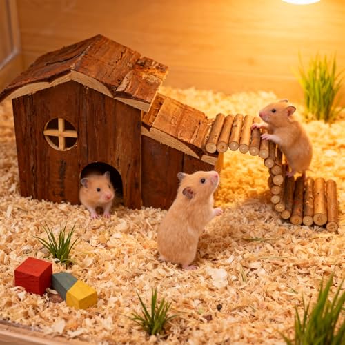 Hamster Hideout Wooden Hamster House and Hamster Bridge | Hamster Houses and Hideouts for Dwarf Hamster Mice Playing Hiding