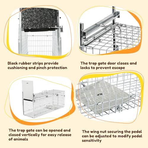 32" Heavy-Duty Folding Live Animal Trap Cage | Animal Trap Cage for Stray Cats,Raccoons,Armadillos and Rabbits