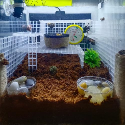 Hermit Crab Climbing Toys Reptile Habitat Grid Cuttable Plastic Net Hermit Crab Climbing Ladder Hideout Small Animal Cage Accessories - style: Classic