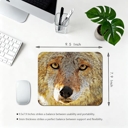 9.5x7.9 Inch Office/Gaming Mouse Pad, Cool Yellow Brown Hairy Wolf Head with Bright Eyes Cute Anti-Slip Mat for Desk - color: Colorful Pattern Art10