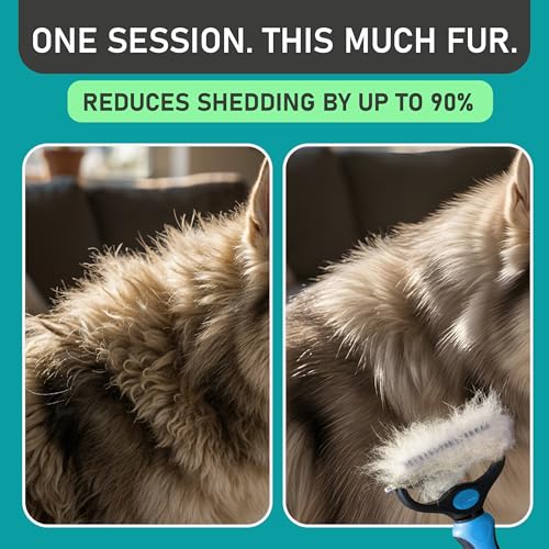 Maxpower Planet Dog Grooming Rake, Deshedding Undercoat Brush, Dogs & Cats | Blue Deshedding & Dematting, Extra-Wide Double-Sided Comb, Long-Haired Coats, Reduces Shedding, Original Design - color: Blue, size: Large