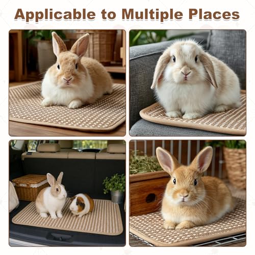 3PCS Rabbit Scratch Mat, Natural Bunny Scratching Pad Claws and Teeth Care Rabbit Mats for Cages Chew Toys for Bunny Pet Cage Bedding for Biting Sleeping Nesting (11x14 inch) - size: 11x14 inch