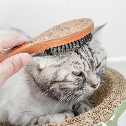 Soft Cat and Dog Grooming Brush for Small & Large Pets | Soft Boar Bristles, Wood Handle, Small Size, Gentle Grooming for Long & Short Hair